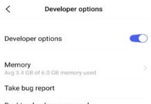 developer options kya hai hindi