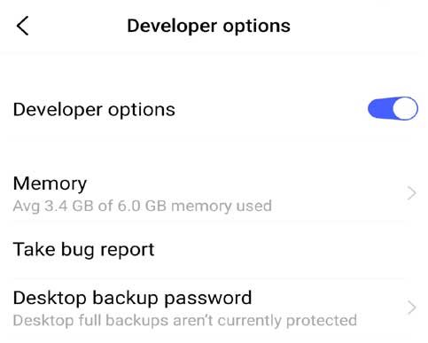developer options kya hai hindi