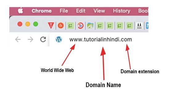What is World Wide Web In Hindi