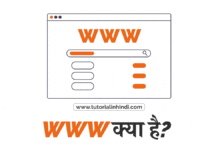 What is WWW in Hindi (WWW क्या है)