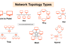 प्राथमिक नेटवर्क टोपोलॉजी (Network Topology Types)