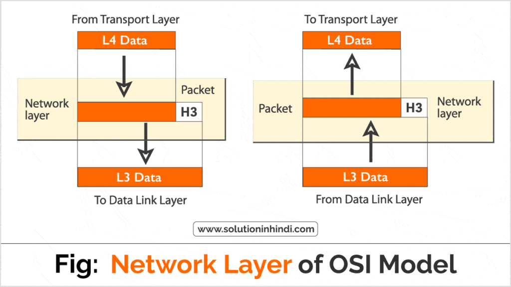 नेटवर्क लेयर क्या है (Network Layer in Hindi)