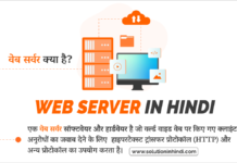 वेब सर्वर क्या है (What is Web Server in Hindi)