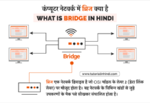 ब्रिज क्या है (What is Bridge in Hindi)
